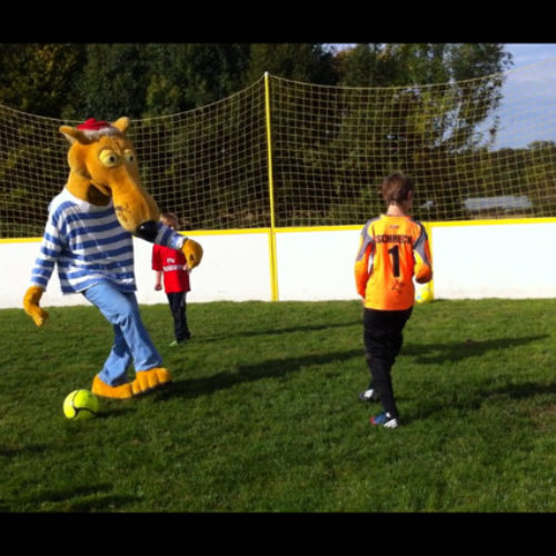 Penalty Hein Blöd